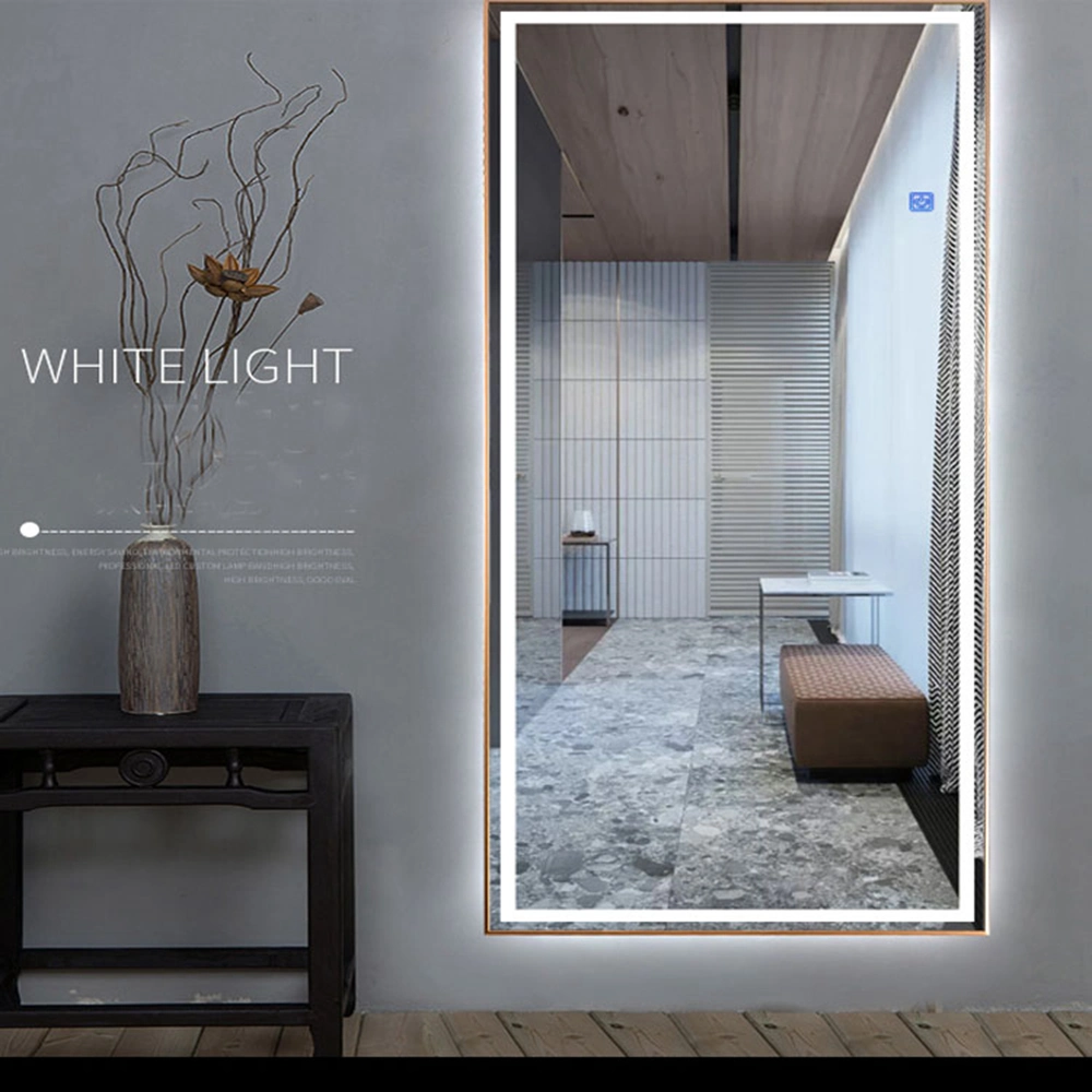 LED Wall Dressing Mirror for Home Hotel Floor Full Length Mirror